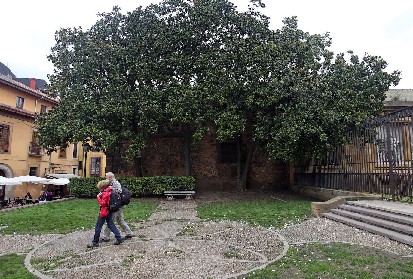 Las mejores instantáneas de este otoño que comienza han sido captadas por los fotógrafos: Mario Rojas, Pablo Lorenzana, Juan Carlos Román, Omar Antuña, Paloma Ucha, Juan Carlos Tuero y Xuan Cueto.