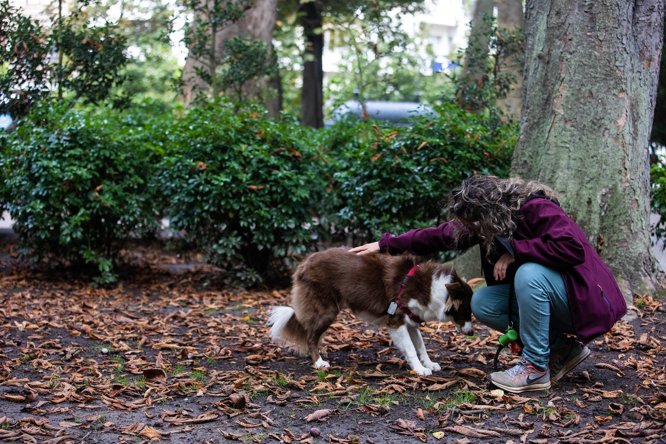 Las mejores instantáneas de este otoño que comienza han sido captadas por los fotógrafos: Mario Rojas, Pablo Lorenzana, Juan Carlos Román, Omar Antuña, Paloma Ucha, Juan Carlos Tuero y Xuan Cueto.