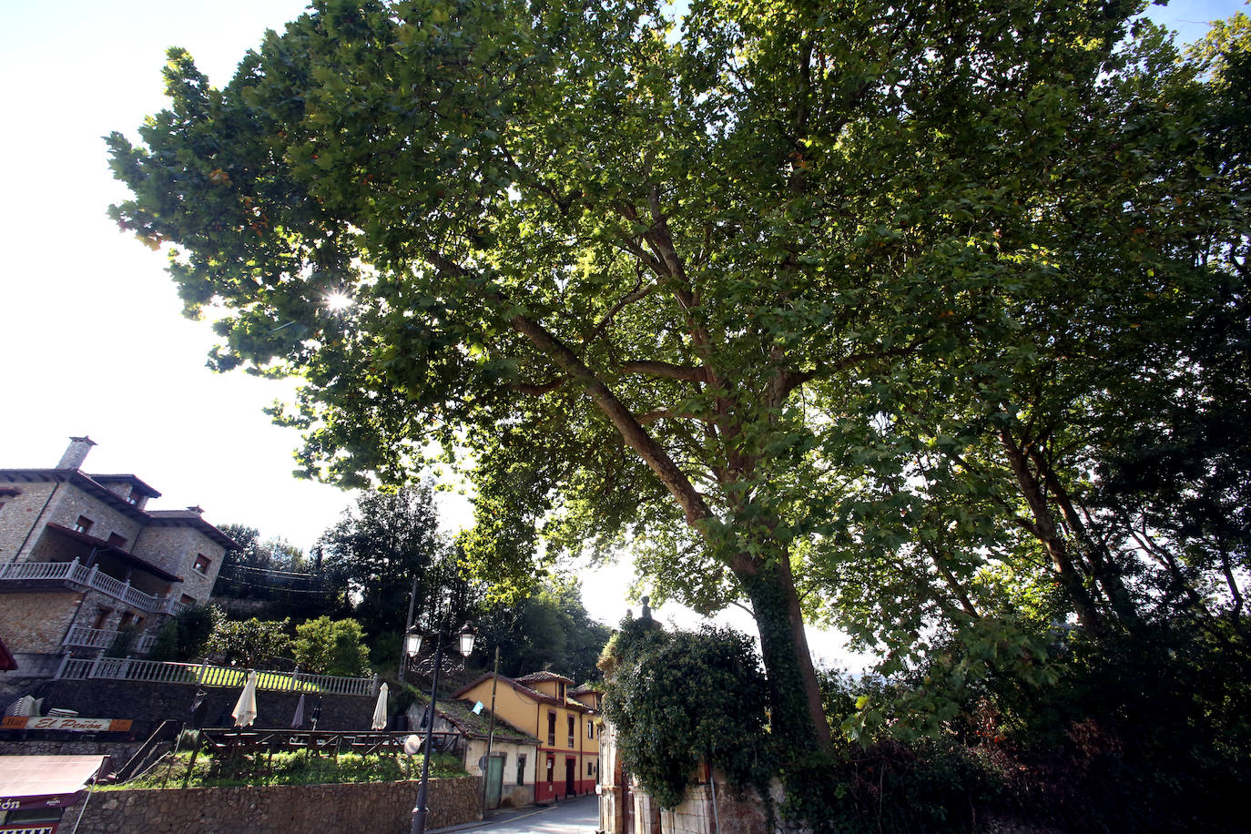 Las mejores instantáneas de este otoño que comienza han sido captadas por los fotógrafos: Mario Rojas, Pablo Lorenzana, Juan Carlos Román, Omar Antuña, Paloma Ucha, Juan Carlos Tuero y Xuan Cueto.