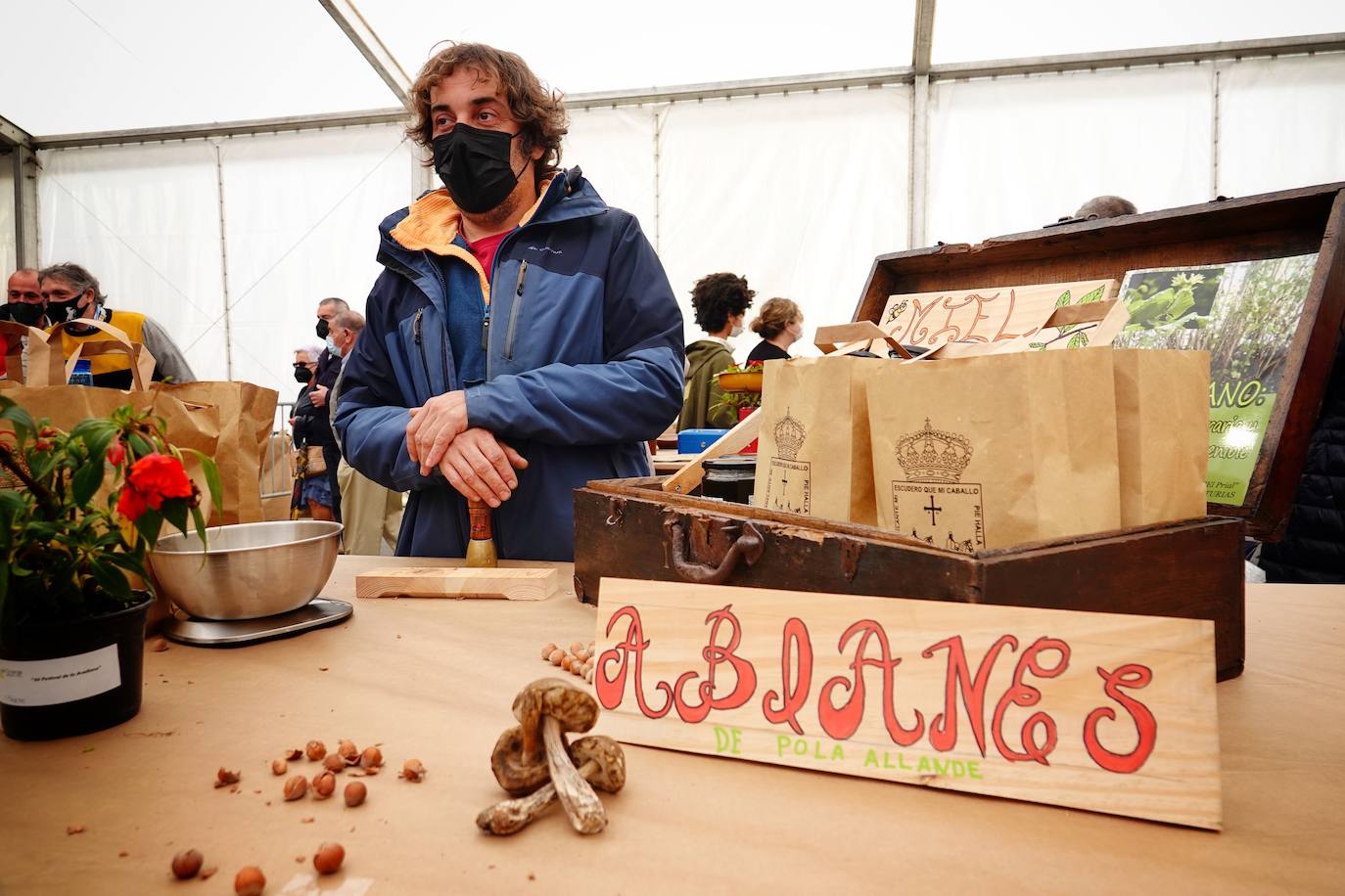 65 puestos de toda Asturias se han dado cita en Piloña para una nueva edición del Festival de la Avellena. Se han vendido más de tres toneladas del fruto.
