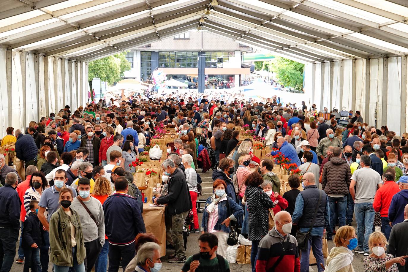 65 puestos de toda Asturias se han dado cita en Piloña para una nueva edición del Festival de la Avellena. Se han vendido más de tres toneladas del fruto.