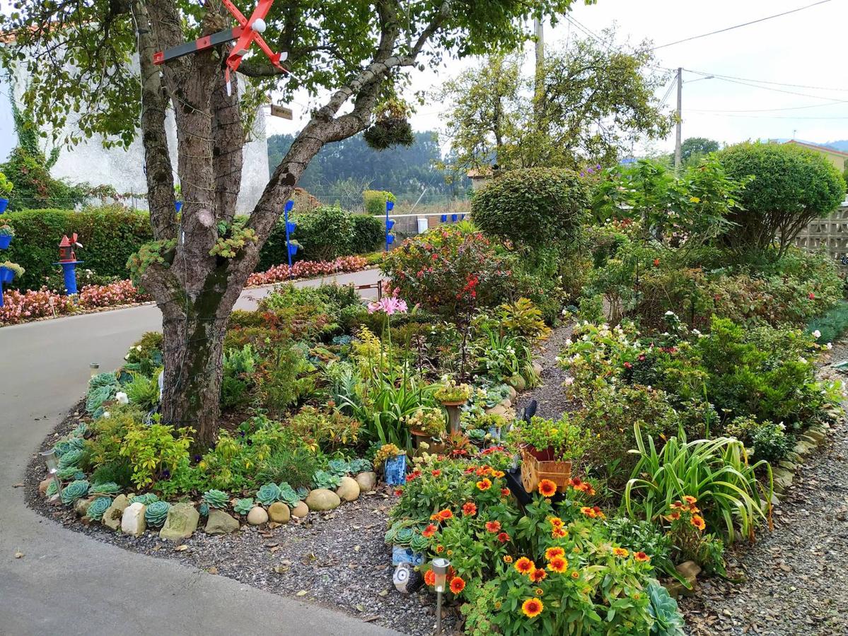 Miguel Busto comenzó a diseñar su jardín potencial, sito en Corvera, de 2.335 m2 y a trazar parterres alejados de modismos, con una tendencia orgánica, hermoseándolos con rocalla, algo de cantería y pasillos de grijo.