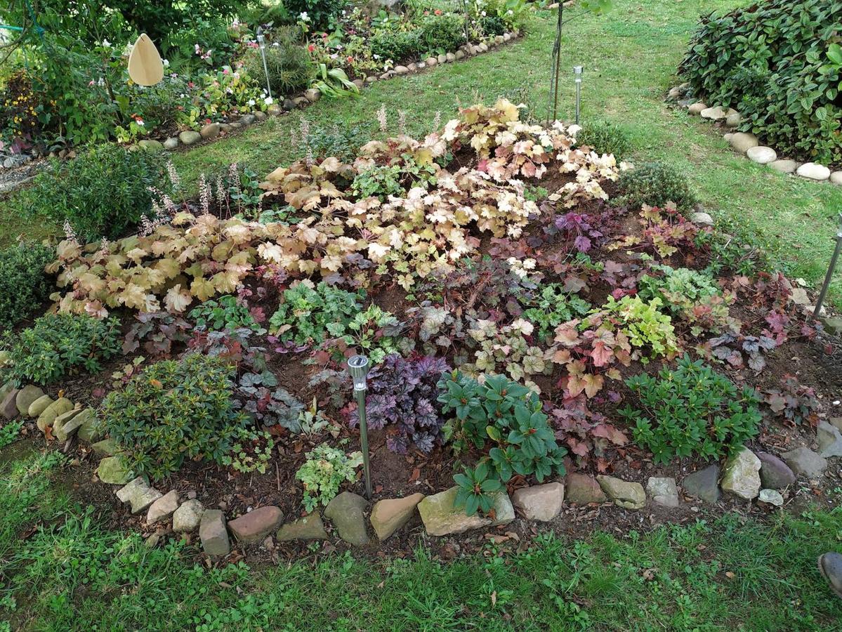 Miguel Busto comenzó a diseñar su jardín potencial, sito en Corvera, de 2.335 m2 y a trazar parterres alejados de modismos, con una tendencia orgánica, hermoseándolos con rocalla, algo de cantería y pasillos de grijo.