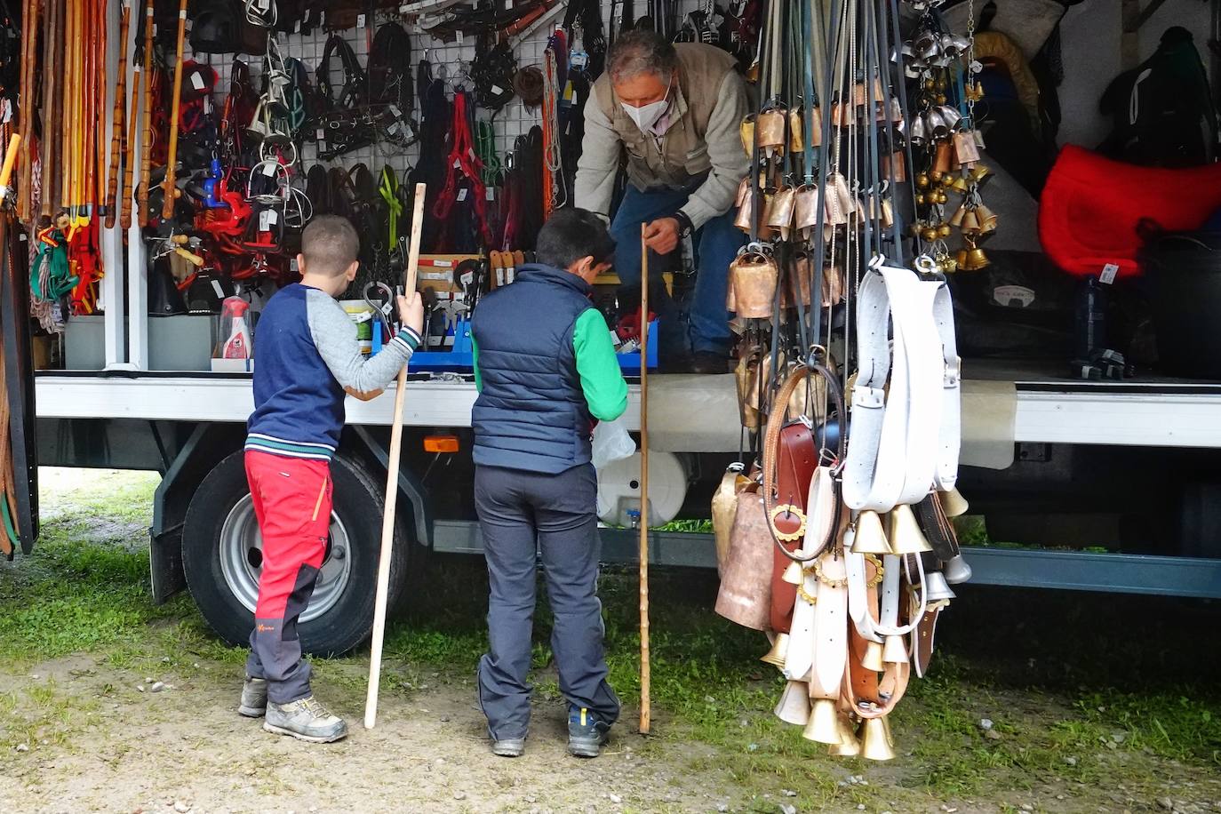 Tras la pasada edición marcada por la pandemia, el certamen de Santa Teresa ha reunido a unas 1.200 reses en el recinto de la piscifactoría, de nuevo con presencia de público