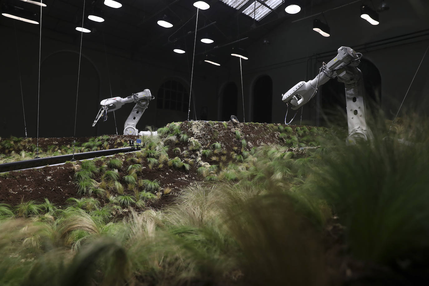 Los más pequeños han podido disfrutar ya de los minijuegos paralímpicos en la jornada de 'Homenaje a Teresa Perales' y del taller «Bolsas sobre la marcha» en el Espacio Steinem. Para los adultos también se han celebrado actividades como «Cuerpo consciente», inspirada en el libro 'Revolution from within' de la Premio Princesa de Asturias de Comunicación y Humanides 2021. 