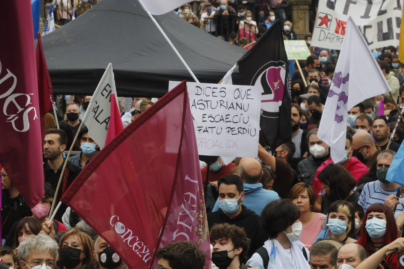 Miles de personas recorren el centro de Oviedo en la concentración por la oficialidad de la llingua. 