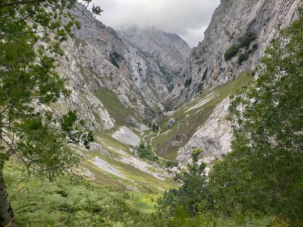 Ruta de la Reconquista (Asturias): La Ruta de la Reconquista recupera parte del recorrido que siguieron los musulmanes en su huída y tras la batalla de Covadonga en el año 718. Una ruta repleta de historia y que atraviesa en su totalidad los Picos de Europa combinando el típico paisaje de caliza de estos picos, con verdes praderías y majadas, bosques, puertos de alta montaña e interminables e imponentes canales. La ruta puede dividirse en tres o cuatro etapas y debido a sus grandes desniveles y al situarse en un terreno tan escarpado y en ocasiones tan técnico como los Picos de Europa, es importante hacerla con una buena preparación.