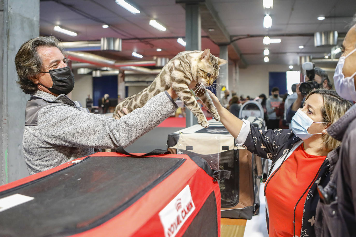 Los amantes de los animales tienen una cita este fin de semana en Gijón, donde se celebra Espacio Mascotas. Talleres, exposiciones, concursos y diversos servicios para el cuidado de las mascotas son algunos de los atractivos de estas cita. 