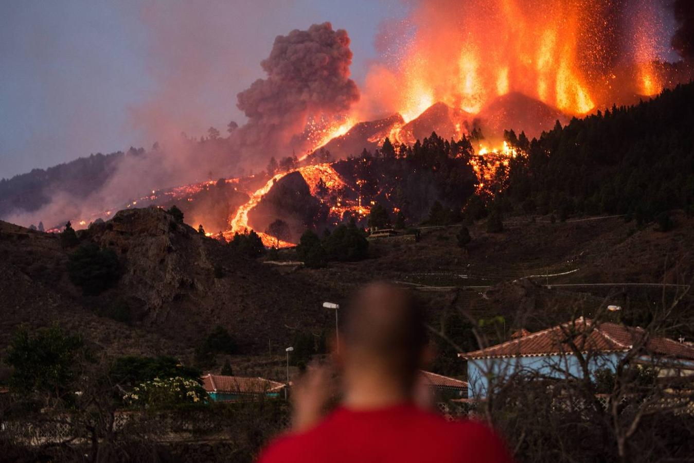 El volcán de La Palma continúa en erupción tras un mes de actividad. Su fuerza sigue arrasando plantaciones agrícolas con una nueva boca en el área del cono principal, que expulsa gran cantidad de cenizas y lava, además de provocar numerosos temblores. 