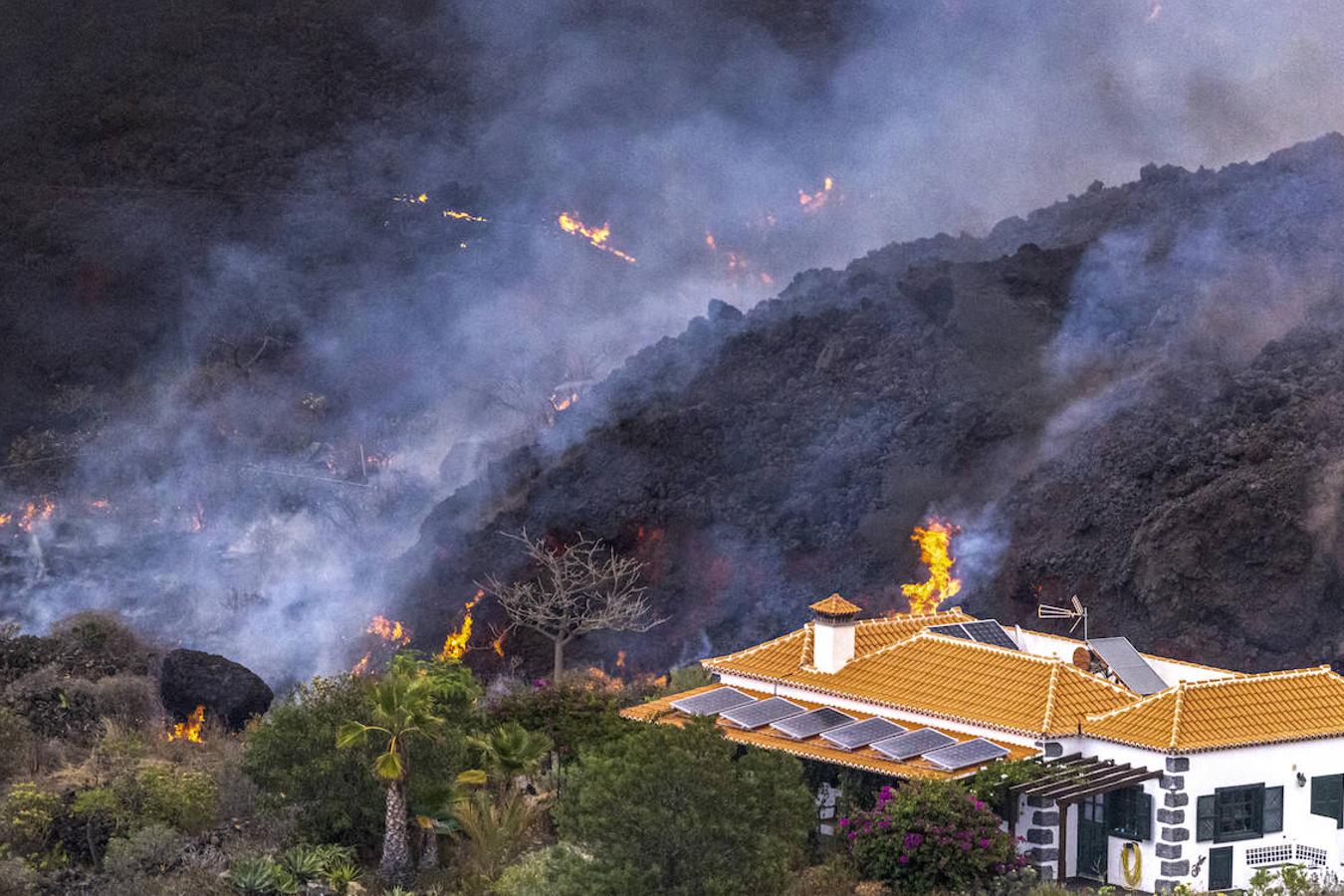 El volcán de La Palma continúa en erupción tras un mes de actividad. Su fuerza sigue arrasando plantaciones agrícolas con una nueva boca en el área del cono principal, que expulsa gran cantidad de cenizas y lava, además de provocar numerosos temblores. 