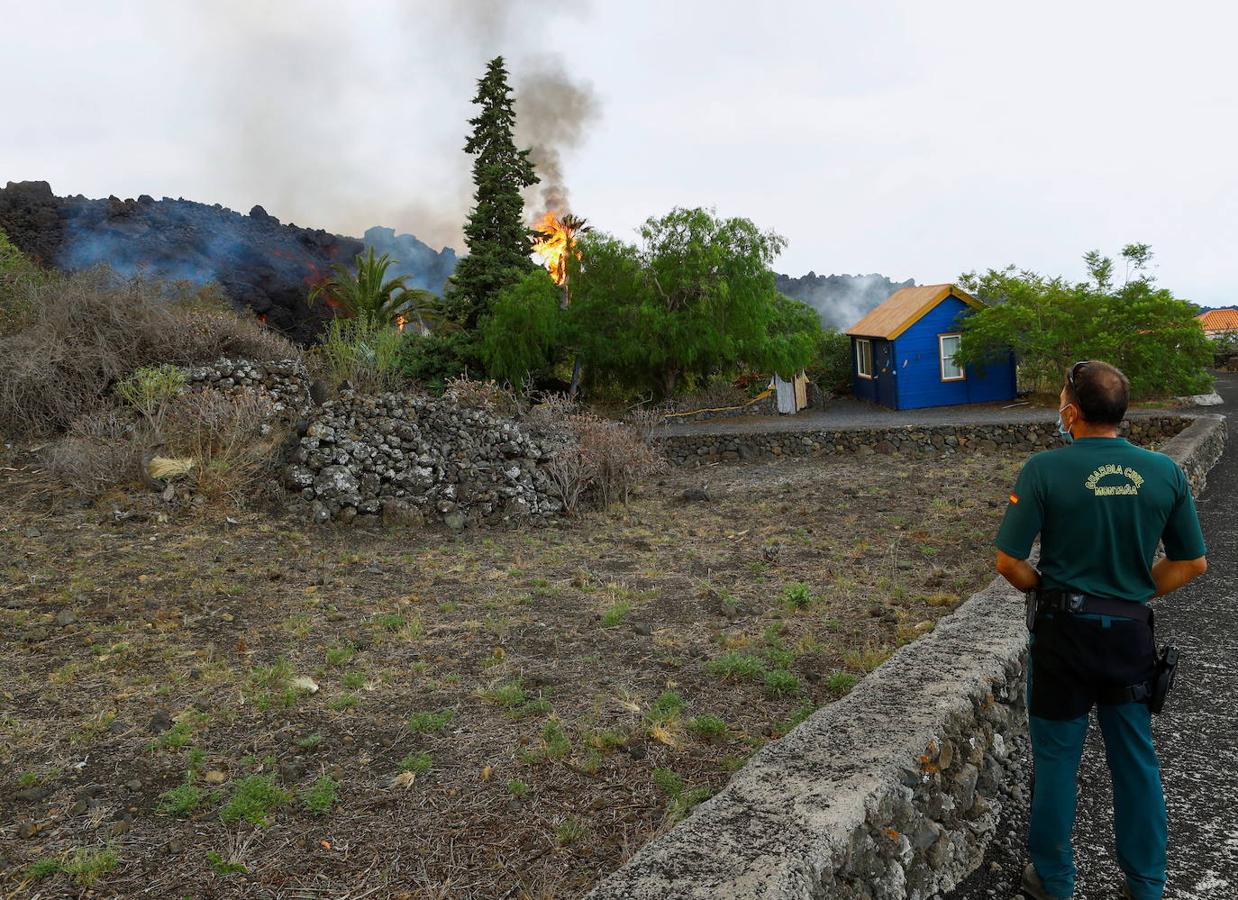 El volcán de La Palma continúa en erupción tras un mes de actividad. Su fuerza sigue arrasando plantaciones agrícolas con una nueva boca en el área del cono principal, que expulsa gran cantidad de cenizas y lava, además de provocar numerosos temblores. 