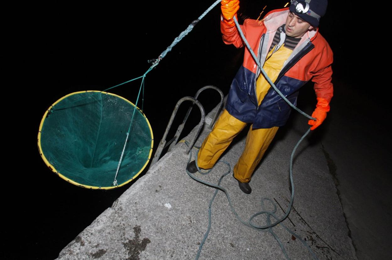Un pescador de angula en la desembocadura del Nalón.