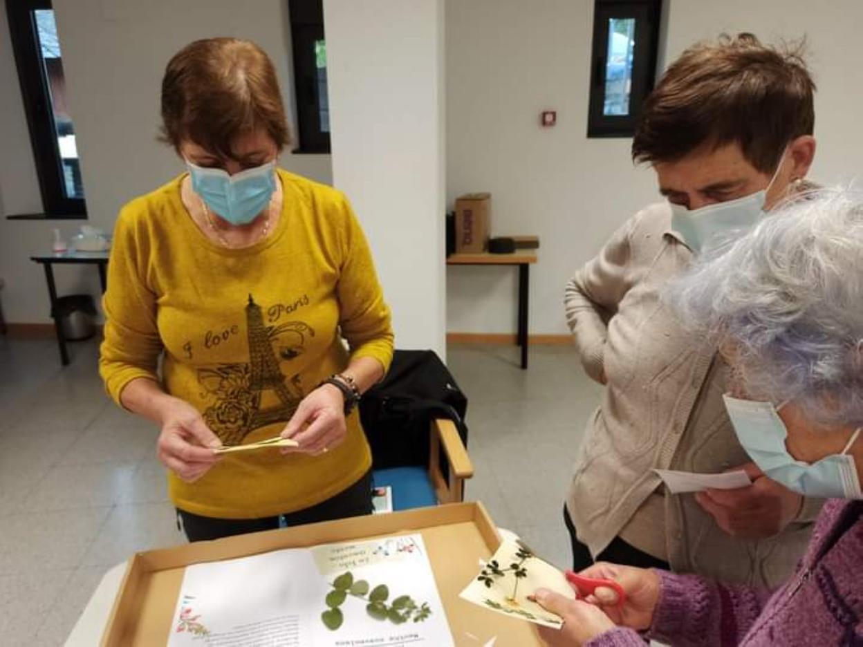 Participantes en el taller, durante la elaboración del herbario. 