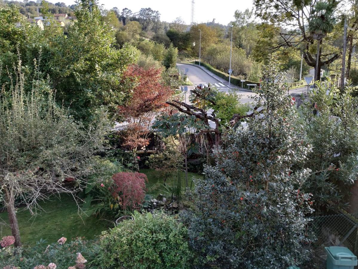 Vista panorámica del jardín de Lieres.