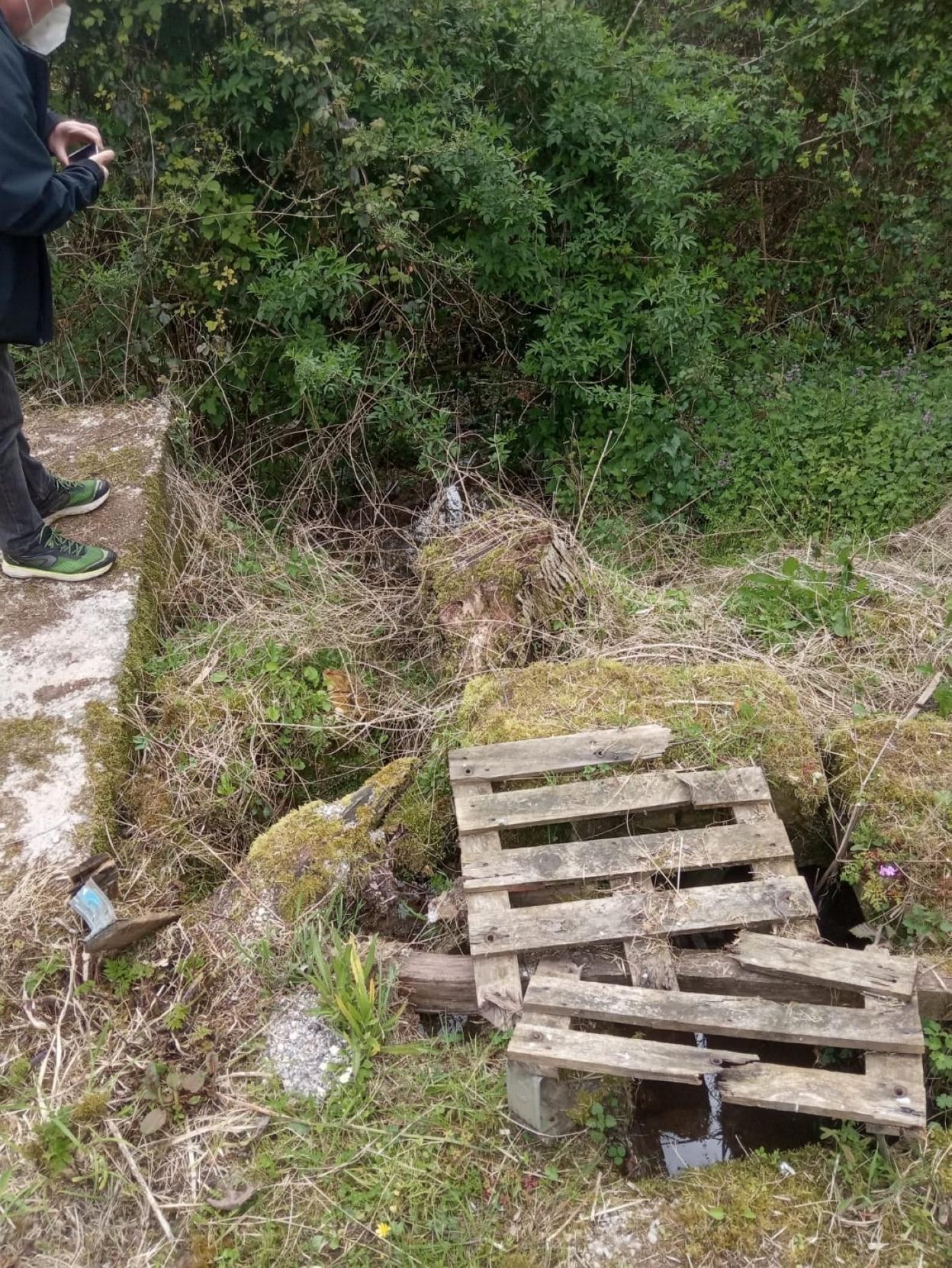 Estado que presenta la zona de la depuradora de Ardisana, cubierta con unos palés rotos. 