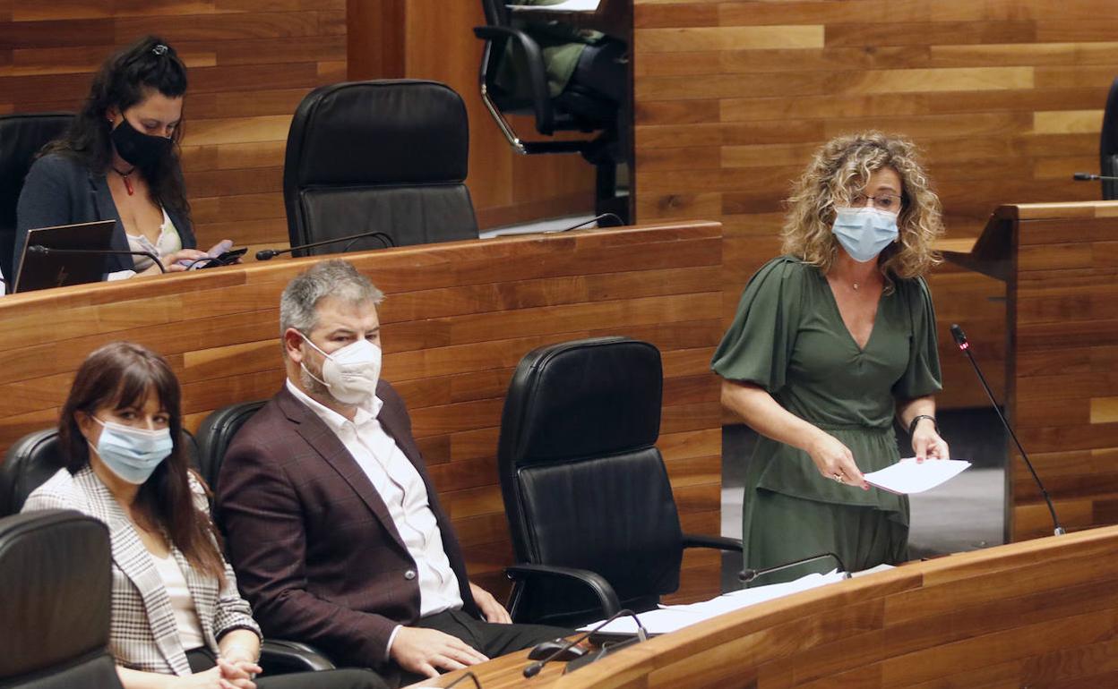 Susana Fernández interviene en un pleno de la Junta General del Principado. 