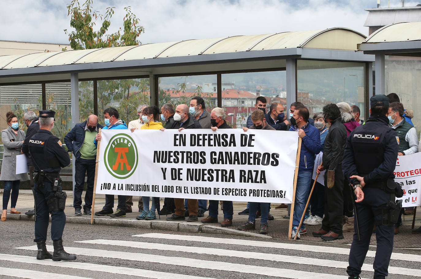 Sindicatos agrarios de Asturias se han concentrado este viernes frente a la Facultad de Derecho de la Universidad de Oviedo, donde iba a participar en un acto el secretario de Estado de Medio Ambiente, Hugo Morán. Un centenar de profesionales del sector agrario han increpado a Morán al grito de «traidor» por la inclusión del lobo en el Listado Oficial de Especies en Régimen de Protección Especial (Lespre). Finalmente, el secretario de Estado ha accedido a reunirse con ellos y cumplir así con una de las reivindicaciones del sector: el ser escuchados. 