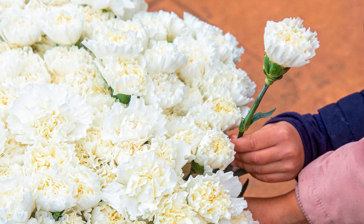 Niños cogen claveles blancos para depositar bajo los columpios en recuerdo del niño asesinado en Lardero 