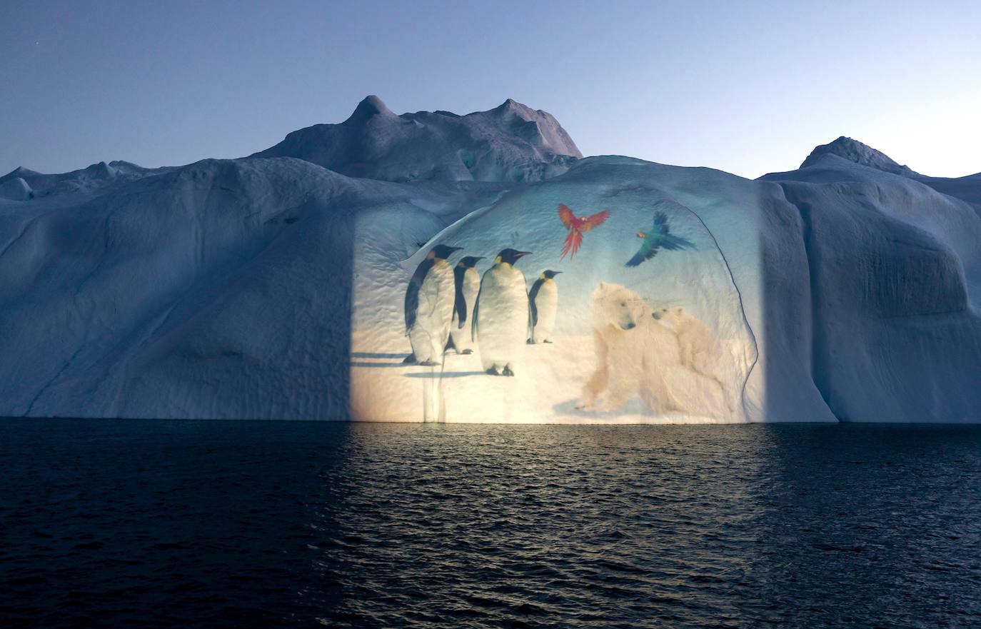 La Cumbre del Clima de la ONU ya ha comenzado y el artista suizo Gerry Hofstetter ha querido ayudar a concienciar sobre la importancia de cuidar el planeta. Hofstetter ha creado trece proyecciones en los icebergs del Ártico basadas en escenas de la naturaleza.