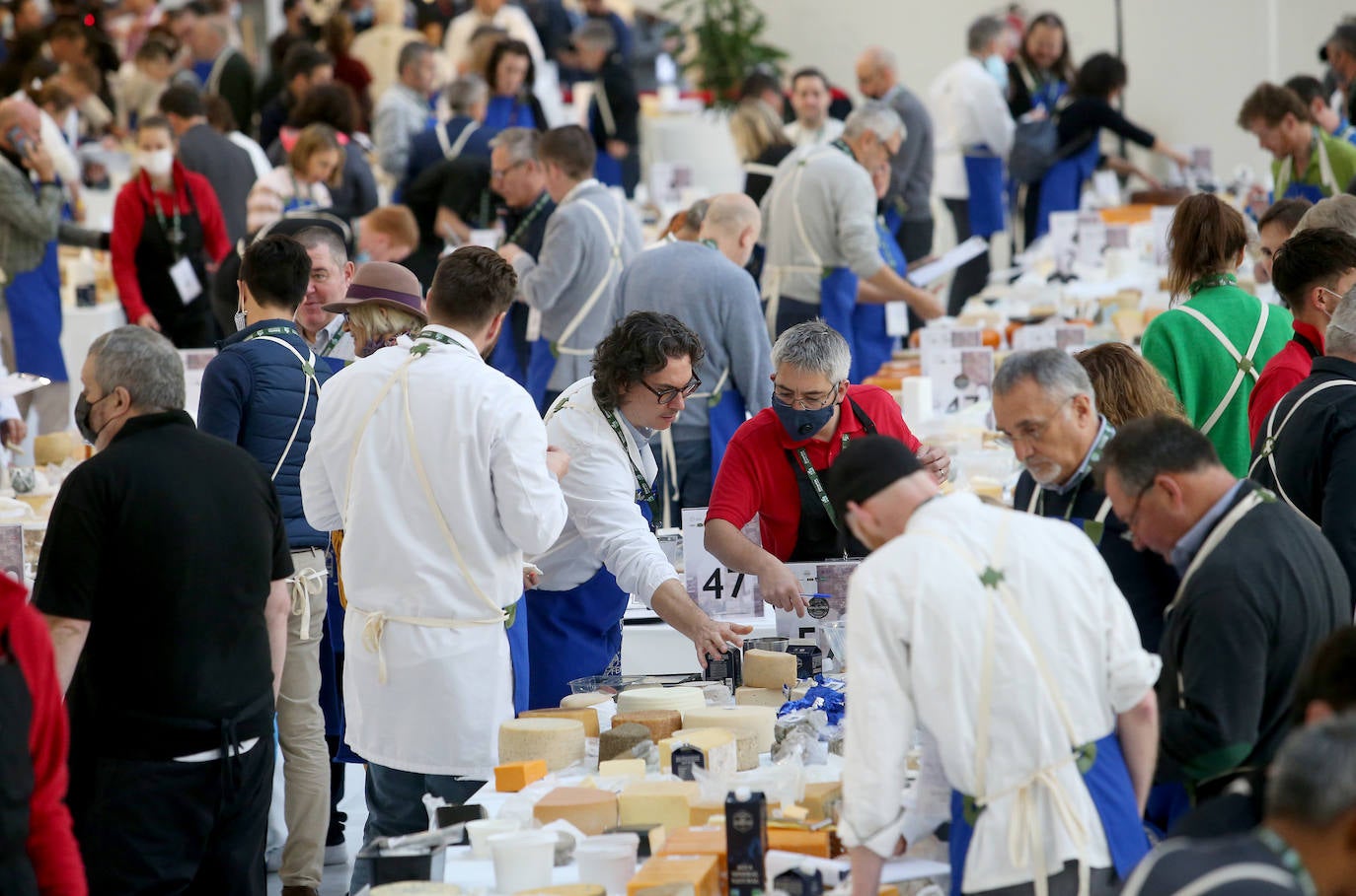 Oviedo y Asturias serán, hasta el próximo sábado, el epicentro global de la cultura quesera gracias a la celebración del Festival Internacional del Queso y de la trigésimo tercera edición de los World Cheese Awards que deciden el mejor queso del mundo en el Palacio de Exposiciones y Congresos del Calatrava. 
