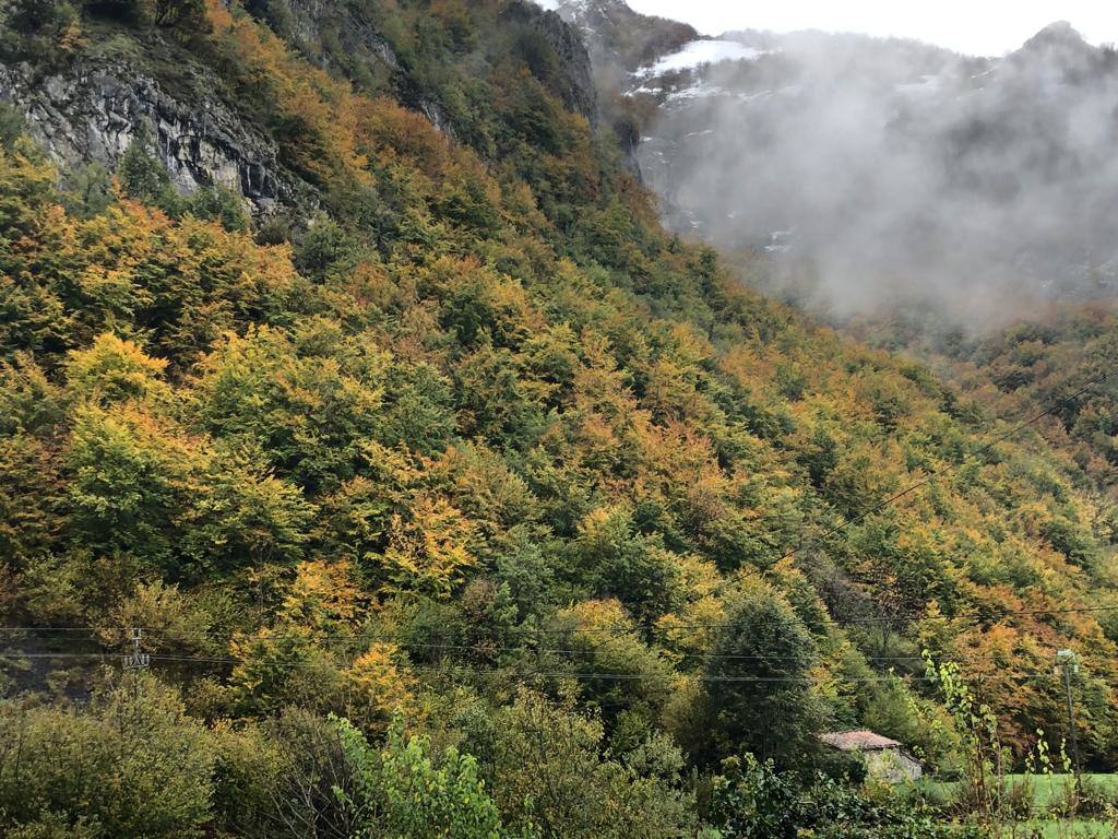 La nieve ha regresado esta semana a las zonas más altas de Asturias y ha afectado al tráfico rodado en algunos puertos de montaña 