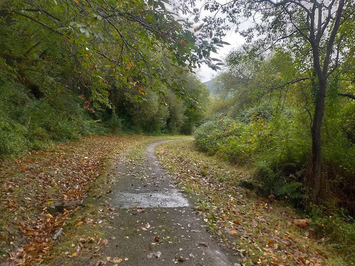 Fotos: Senda verde de Lloreo