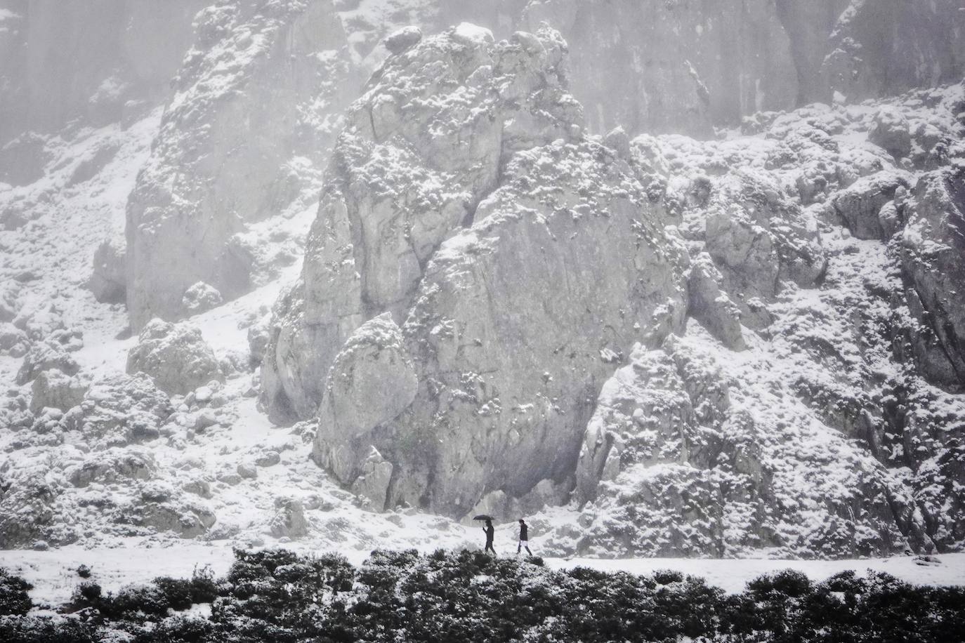 Fotos: Asturias, bajo la nieve