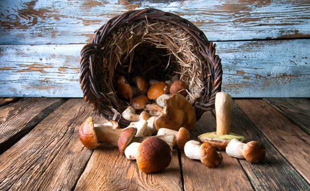 Boletus (Boletus edulis).