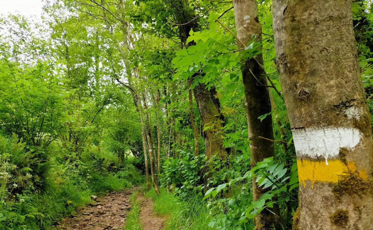 6 rutas de senderismo por la montaña asturiana para este fin de semana