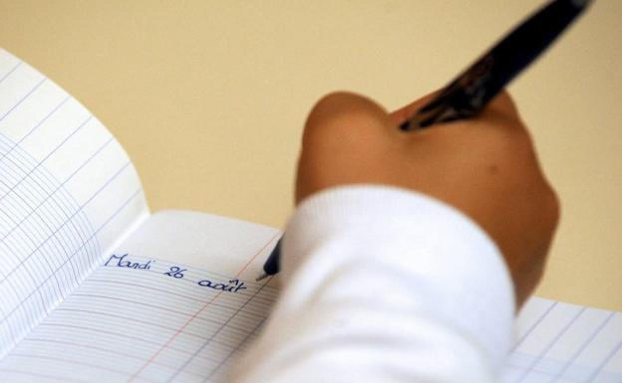 Doce alumnos con necesidades especiales del colegio Pumarín, sin apoyo educativo