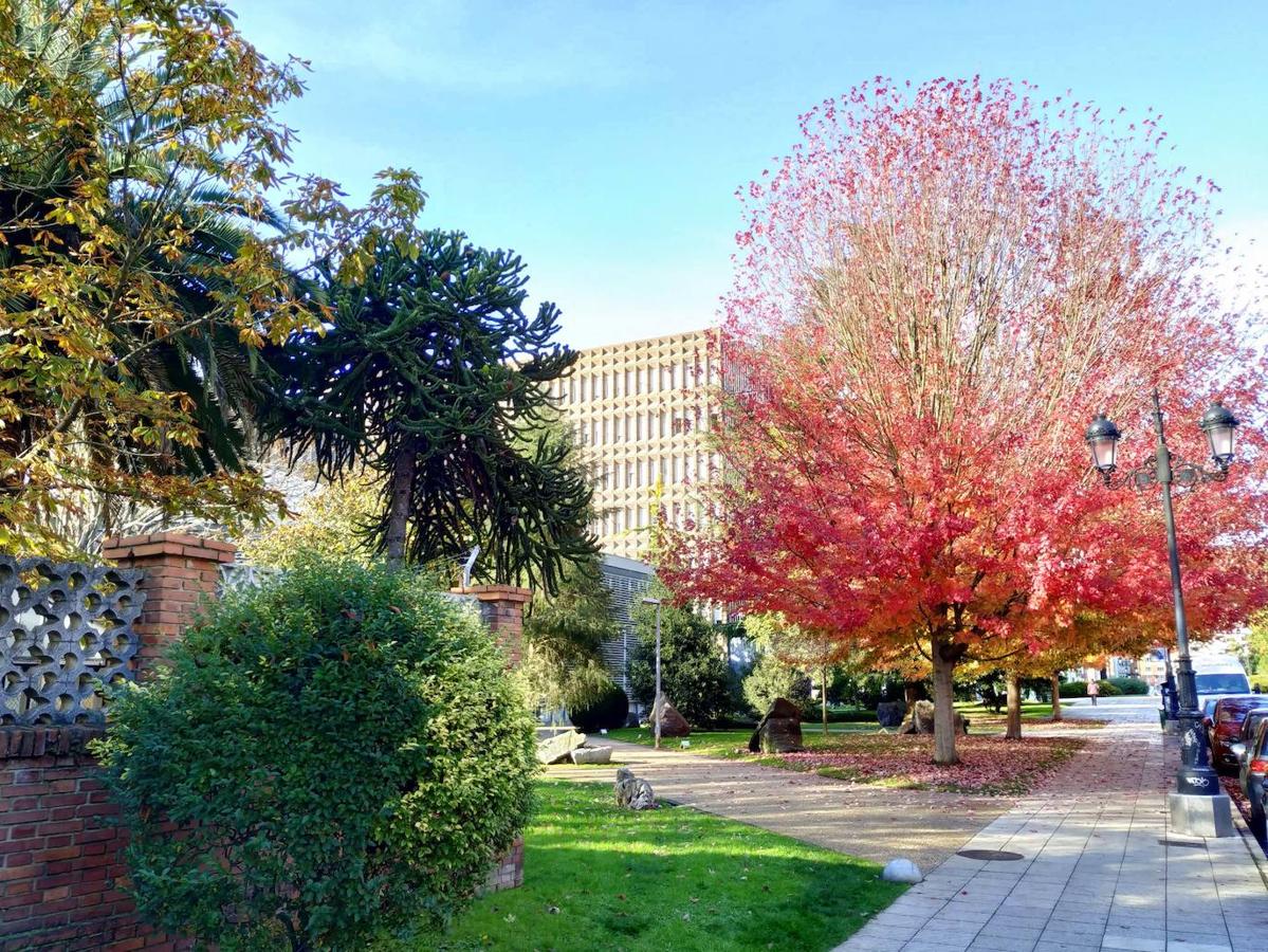 Este jardín es un excelente muestrario segmentado en pequeños espacios verdes personalizados por los árboles que los integran y por las muestras de estratos rocosos de los diferentes periodos de la historia geológica de Oviedo.