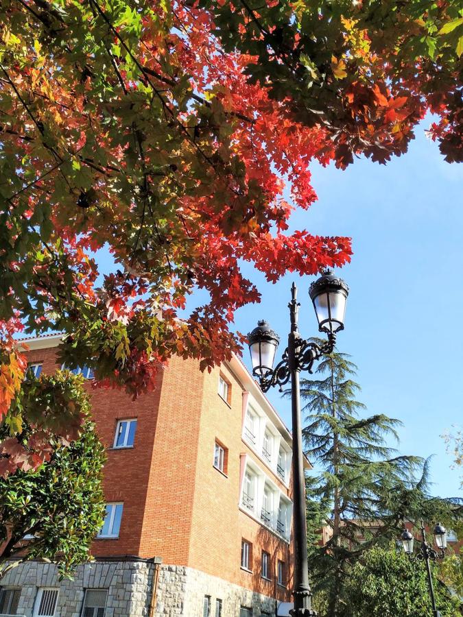 Este jardín es un excelente muestrario segmentado en pequeños espacios verdes personalizados por los árboles que los integran y por las muestras de estratos rocosos de los diferentes periodos de la historia geológica de Oviedo.