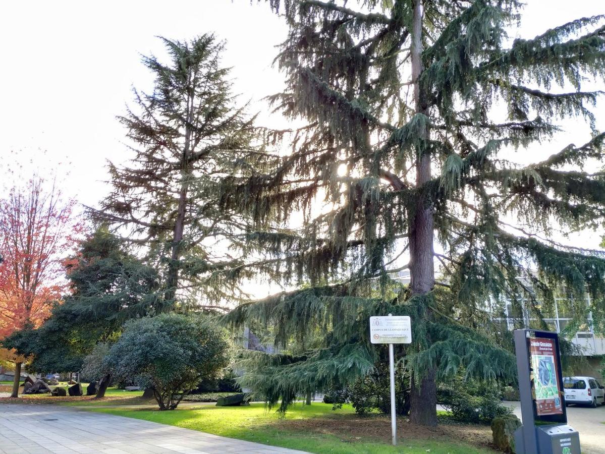 Este jardín es un excelente muestrario segmentado en pequeños espacios verdes personalizados por los árboles que los integran y por las muestras de estratos rocosos de los diferentes periodos de la historia geológica de Oviedo.