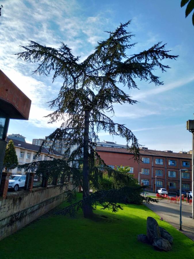 Este jardín es un excelente muestrario segmentado en pequeños espacios verdes personalizados por los árboles que los integran y por las muestras de estratos rocosos de los diferentes periodos de la historia geológica de Oviedo.