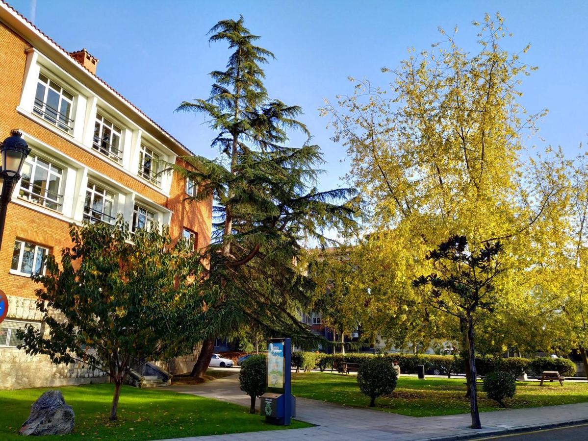 Este jardín es un excelente muestrario segmentado en pequeños espacios verdes personalizados por los árboles que los integran y por las muestras de estratos rocosos de los diferentes periodos de la historia geológica de Oviedo.