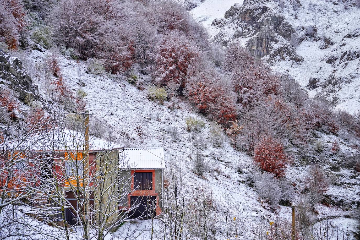 Fotos: Asturias, bajo el primer temporal de nieve del otoño