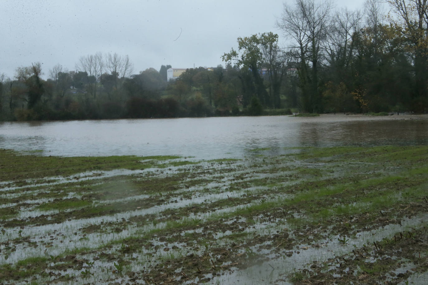 Las intensas lluvias y la nieve caída en los últimos días ha provocado importantes daños en buena parte de Asturias, principalmente en la zona oriental de la región donde, incluso, se ha tenido que evacuar a decenas de pacientes del hospital de Arriondas. Pero el agua también ha anegado otras áreas de Asturias 
