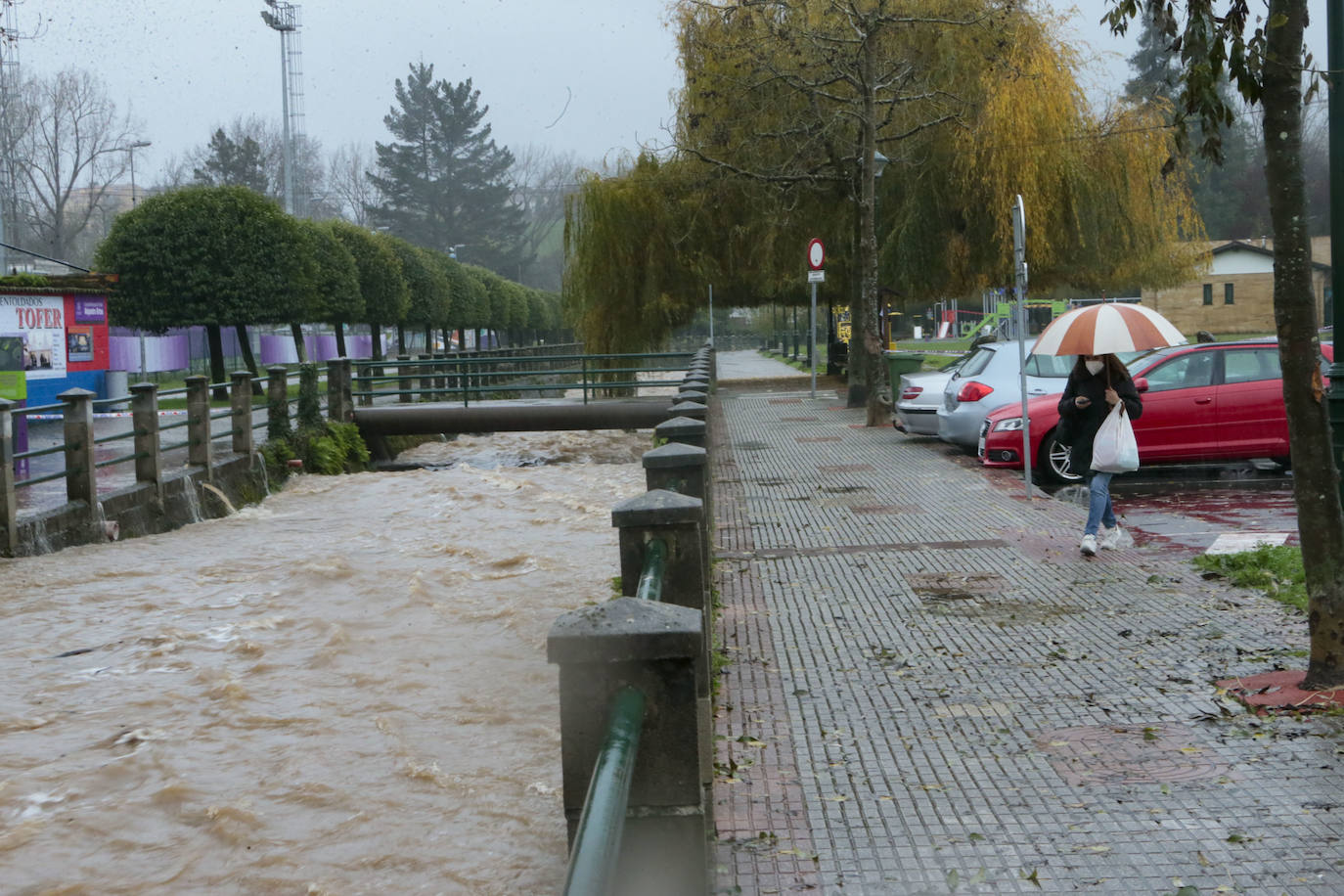 Las intensas lluvias y la nieve caída en los últimos días ha provocado importantes daños en buena parte de Asturias, principalmente en la zona oriental de la región donde, incluso, se ha tenido que evacuar a decenas de pacientes del hospital de Arriondas. Pero el agua también ha anegado otras áreas de Asturias 