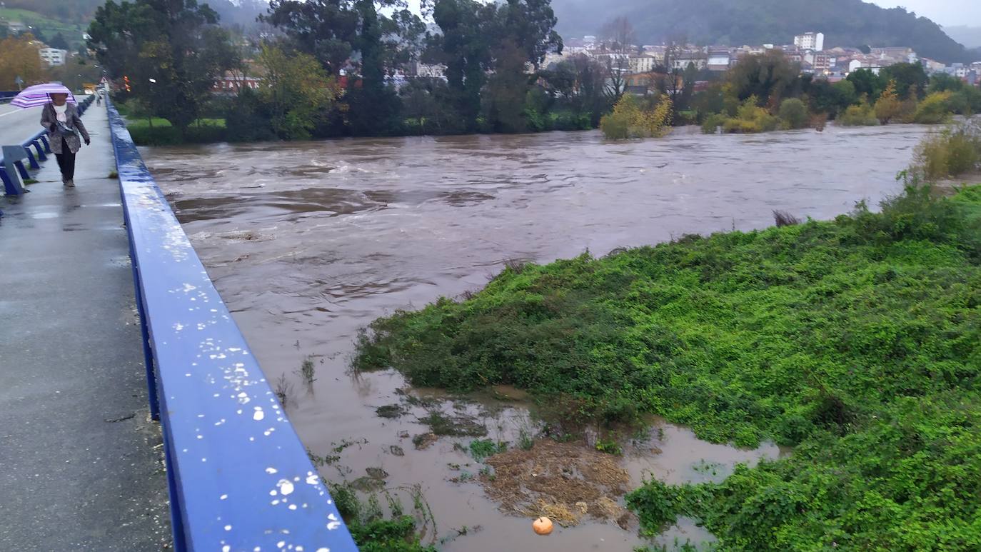 Las intensas lluvias y la nieve caída en los últimos días ha provocado importantes daños en buena parte de Asturias, principalmente en la zona oriental de la región donde, incluso, se ha tenido que evacuar a decenas de pacientes del hospital de Arriondas. Pero el agua también ha anegado otras áreas de Asturias 