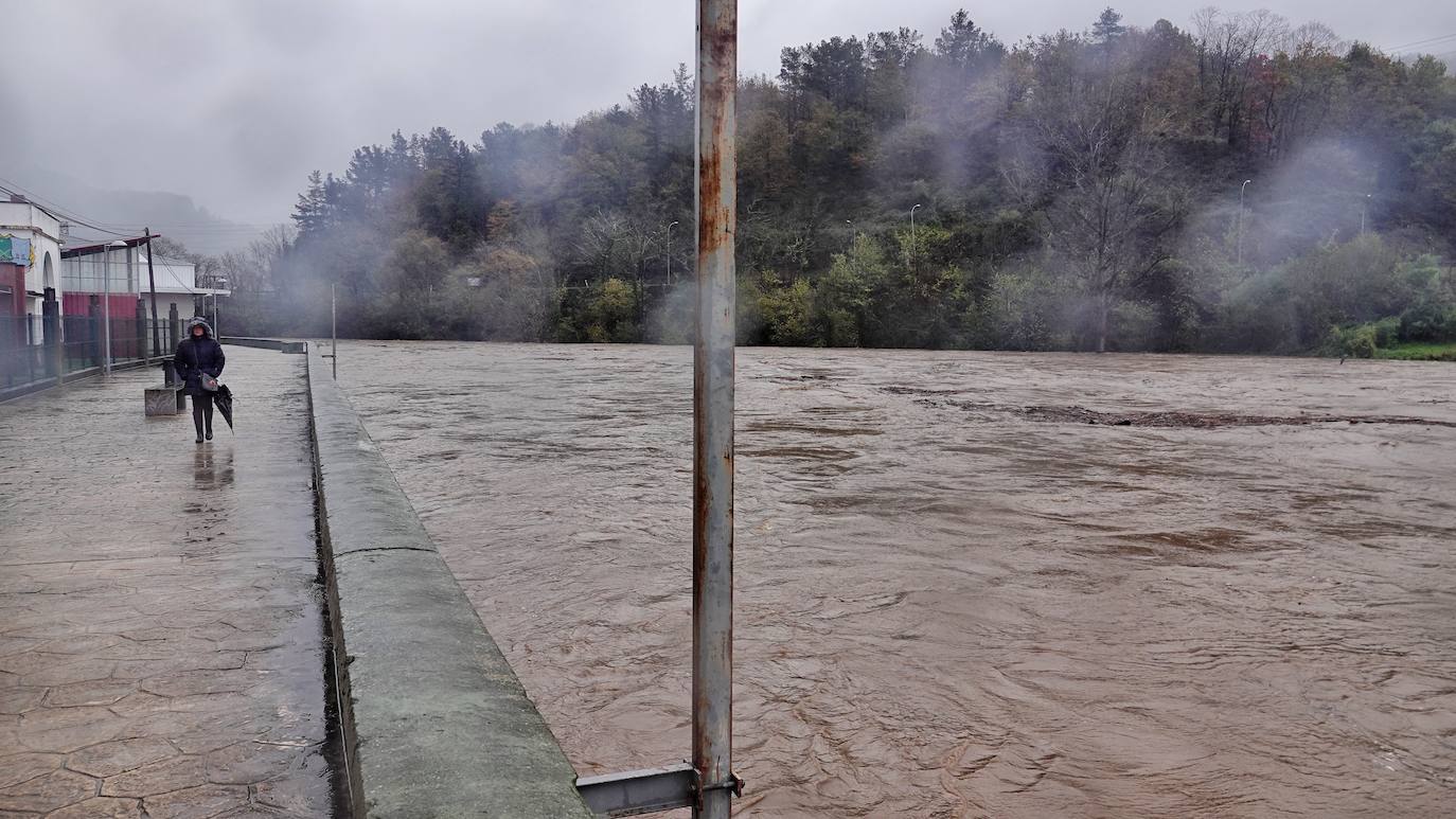 Las intensas lluvias y la nieve caída en los últimos días ha provocado importantes daños en buena parte de Asturias, principalmente en la zona oriental de la región donde, incluso, se ha tenido que evacuar a decenas de pacientes del hospital de Arriondas. Pero el agua también ha anegado otras áreas de Asturias 