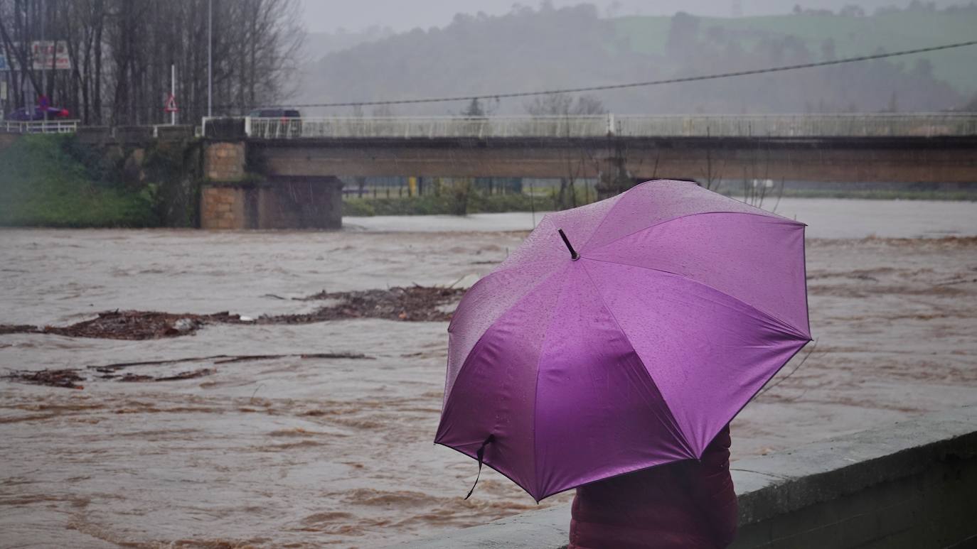 Las intensas lluvias y la nieve caída en los últimos días ha provocado importantes daños en buena parte de Asturias, principalmente en la zona oriental de la región donde, incluso, se ha tenido que evacuar a decenas de pacientes del hospital de Arriondas. Pero el agua también ha anegado otras áreas de Asturias 