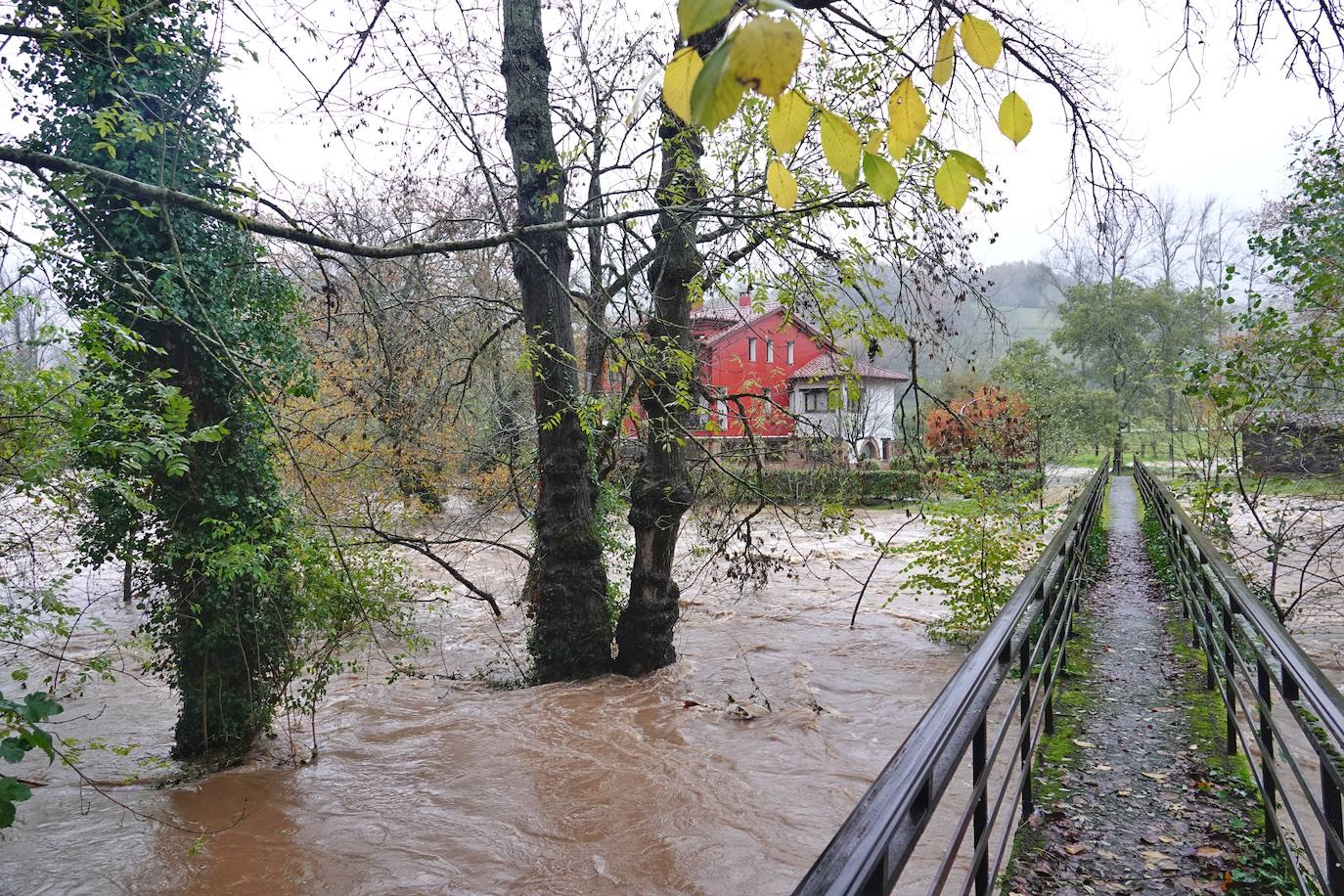 Fotos: Los ríos se desbordan en el oriente de Asturias