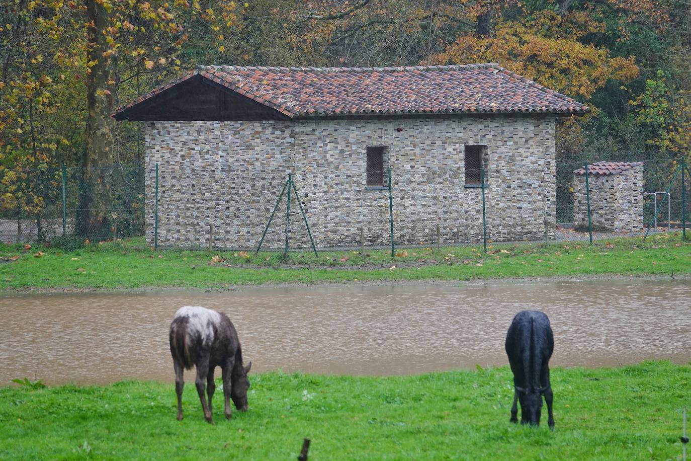 Fotos: Los ríos se desbordan en el oriente de Asturias