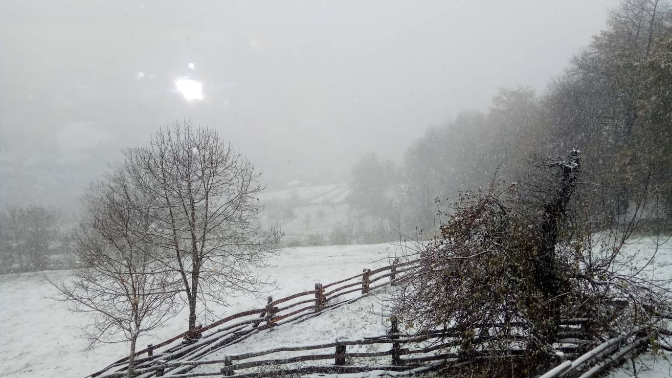 Fotos: El temporal cubre a Asturias de blanco