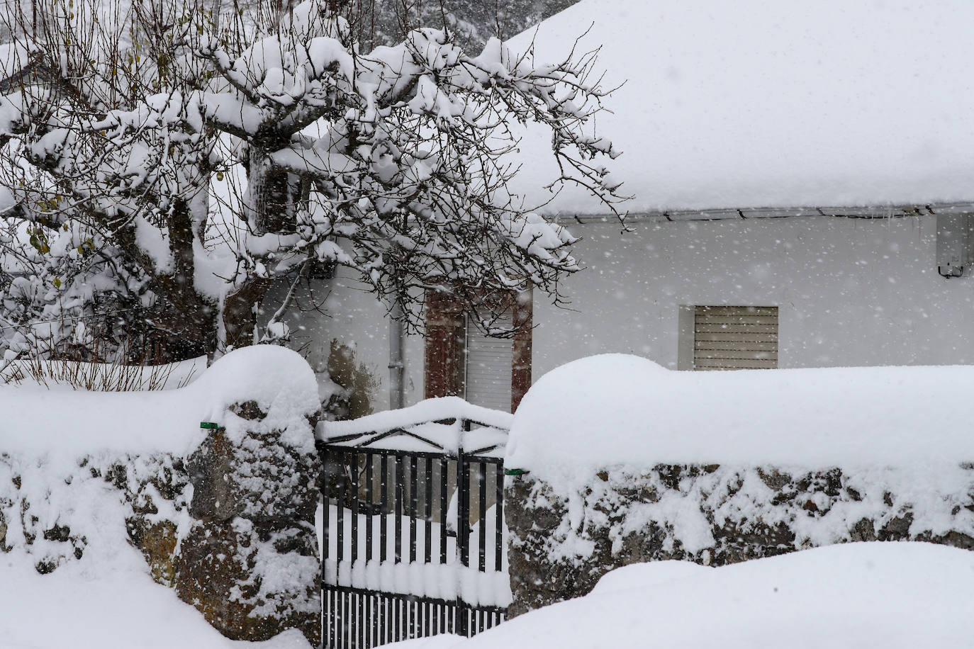 Fotos: La impresionante nevada en Somiedo