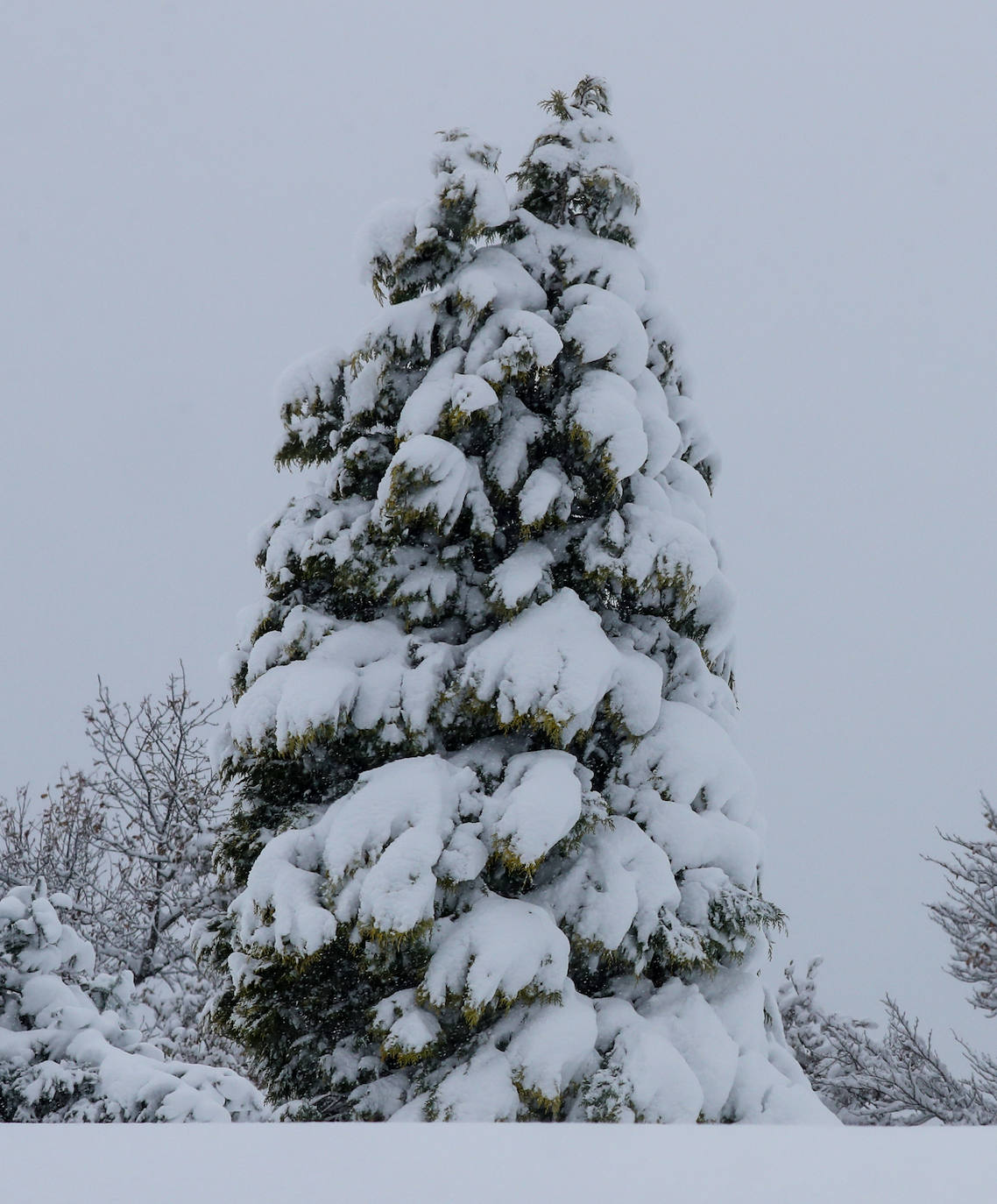 Fotos: La impresionante nevada en Somiedo