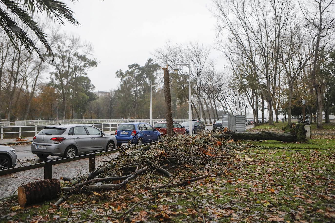 Fotos: Gijón, entre el viento y la lluvia