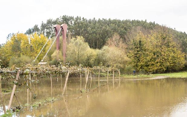 Imagen principal - Temporal en Asturias: la Guardia Civil pide a los productores de Pravia que desalojen las vegas por riesgo de inundaciones