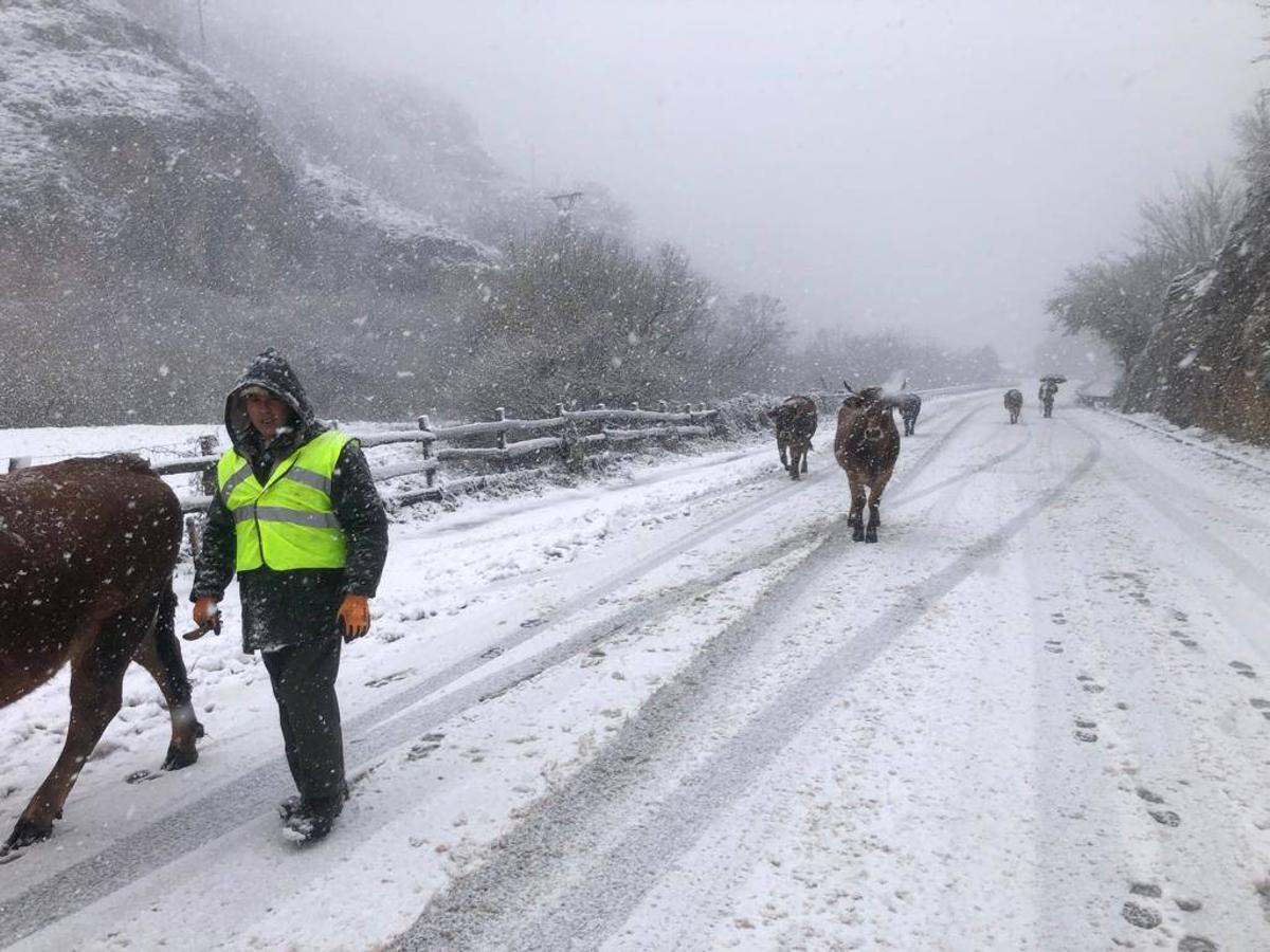 Nieve en Asturias, en la estaciones de esquí de Brañillín y en Somiedo.