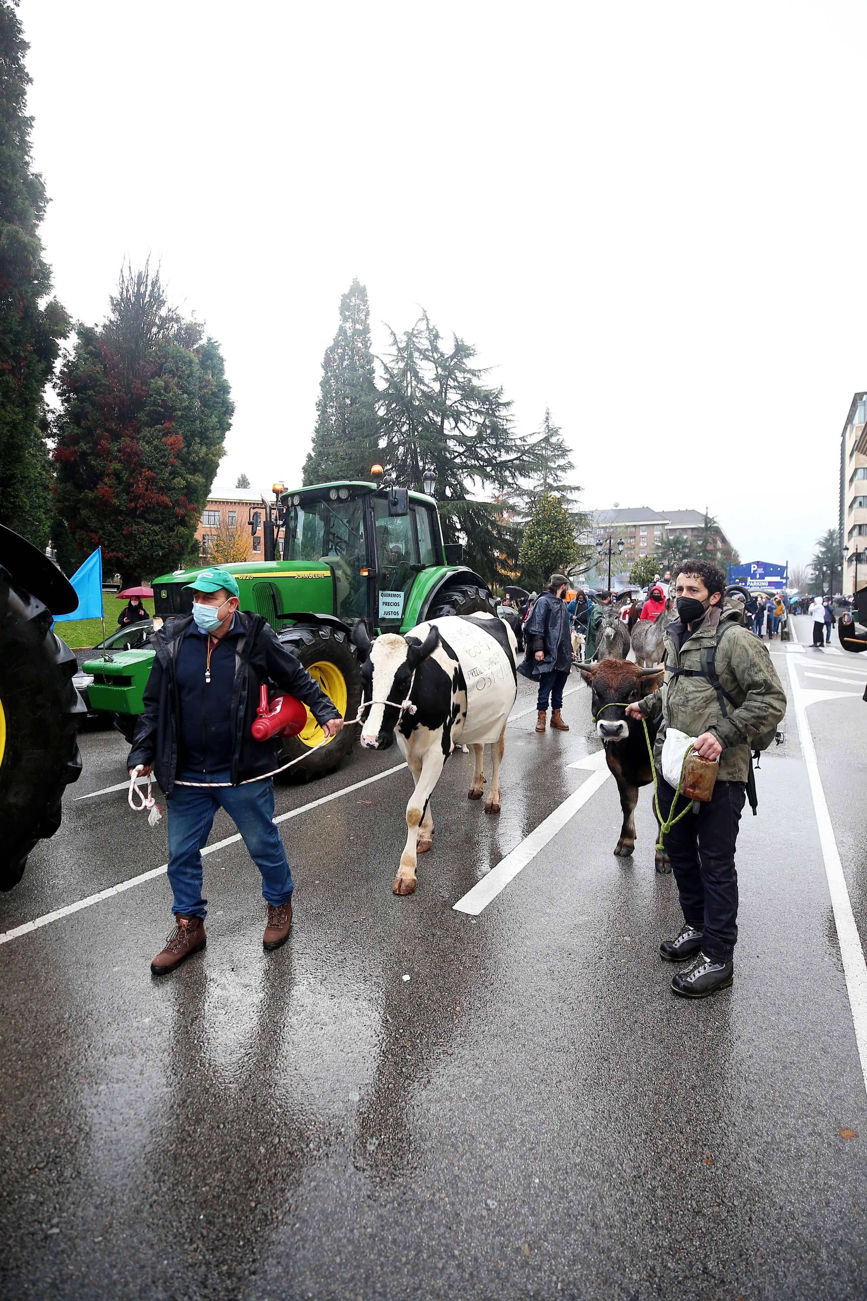 Fotos: El sector ganadero asturiano se manifiesta en Oviedo